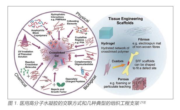 【学术分享】医用高分子材料进展